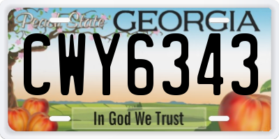 GA license plate CWY6343