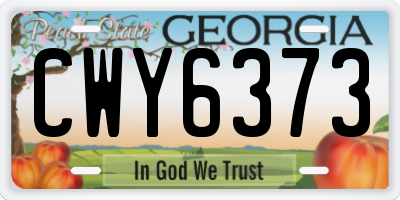 GA license plate CWY6373