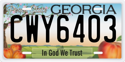 GA license plate CWY6403