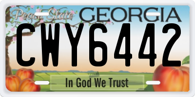 GA license plate CWY6442