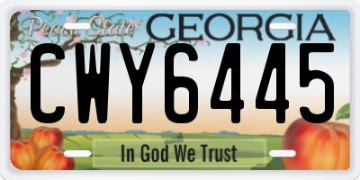 GA license plate CWY6445