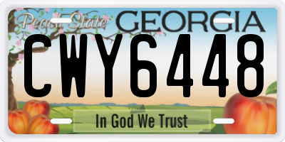 GA license plate CWY6448
