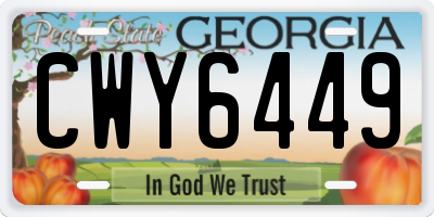 GA license plate CWY6449