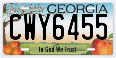 GA license plate CWY6455