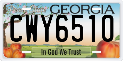 GA license plate CWY6510