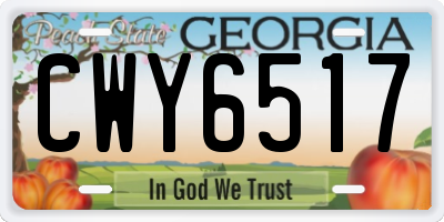 GA license plate CWY6517