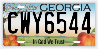 GA license plate CWY6544