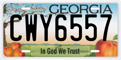 GA license plate CWY6557