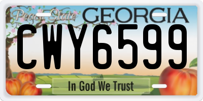 GA license plate CWY6599