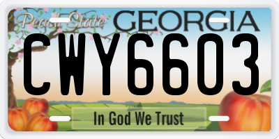 GA license plate CWY6603