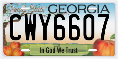 GA license plate CWY6607