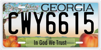 GA license plate CWY6615
