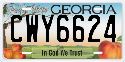 GA license plate CWY6624