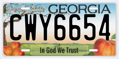 GA license plate CWY6654