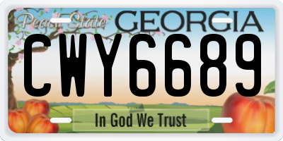 GA license plate CWY6689