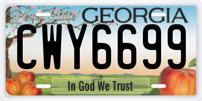 GA license plate CWY6699