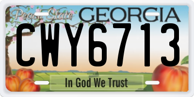 GA license plate CWY6713