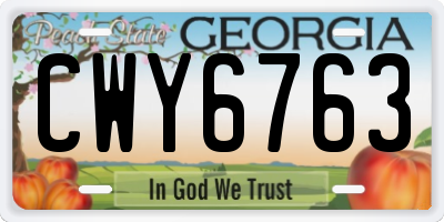 GA license plate CWY6763