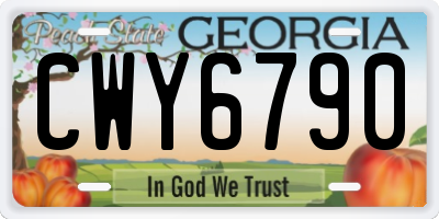 GA license plate CWY6790