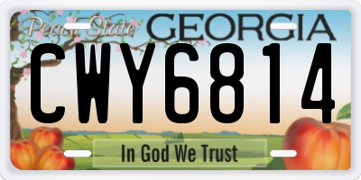 GA license plate CWY6814