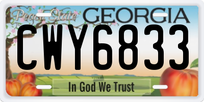 GA license plate CWY6833