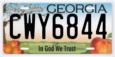 GA license plate CWY6844