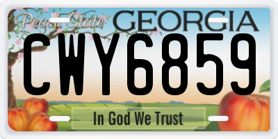 GA license plate CWY6859