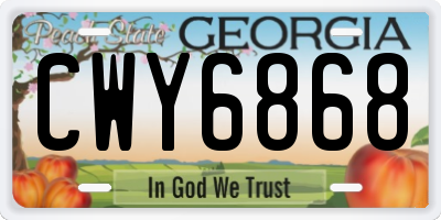 GA license plate CWY6868