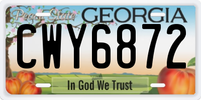 GA license plate CWY6872