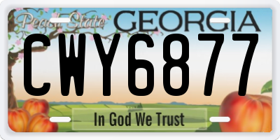 GA license plate CWY6877