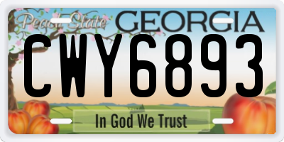 GA license plate CWY6893