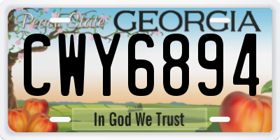 GA license plate CWY6894