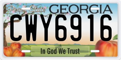 GA license plate CWY6916