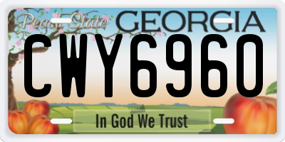 GA license plate CWY6960