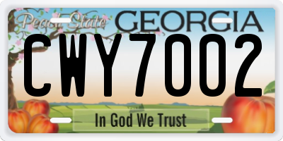 GA license plate CWY7002