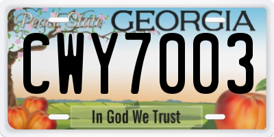 GA license plate CWY7003