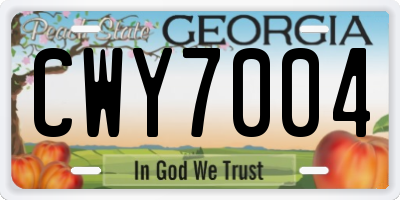 GA license plate CWY7004