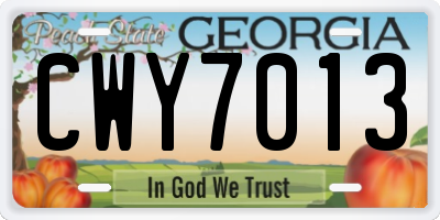 GA license plate CWY7013