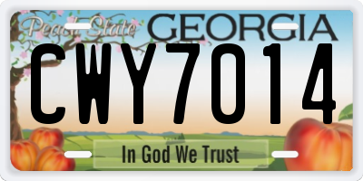 GA license plate CWY7014