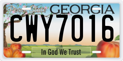 GA license plate CWY7016