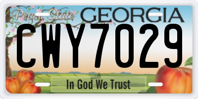 GA license plate CWY7029