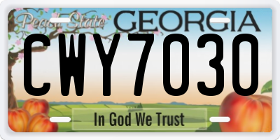 GA license plate CWY7030