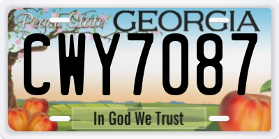 GA license plate CWY7087