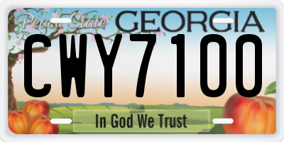 GA license plate CWY7100
