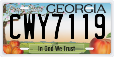 GA license plate CWY7119