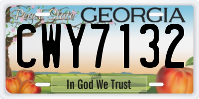 GA license plate CWY7132