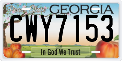 GA license plate CWY7153