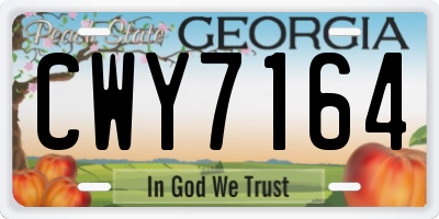 GA license plate CWY7164