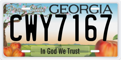 GA license plate CWY7167