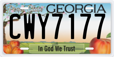 GA license plate CWY7177
